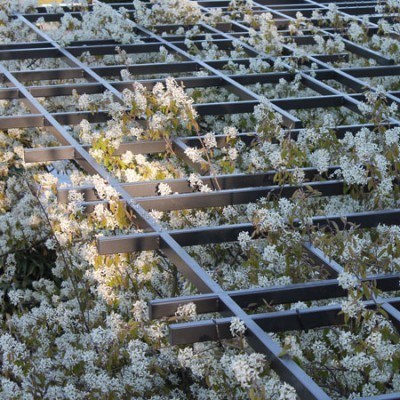 Pergola Schattenwurf